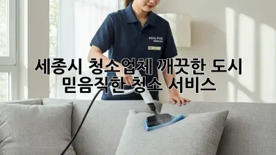 세종시 청소업체: 깨끗한 도시, 믿음직한 청소 서비스