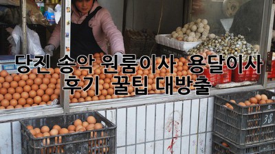 당진 송악 원룸이사 🚚 용달이사 후기 & 꿀팁 대방출! 🍯